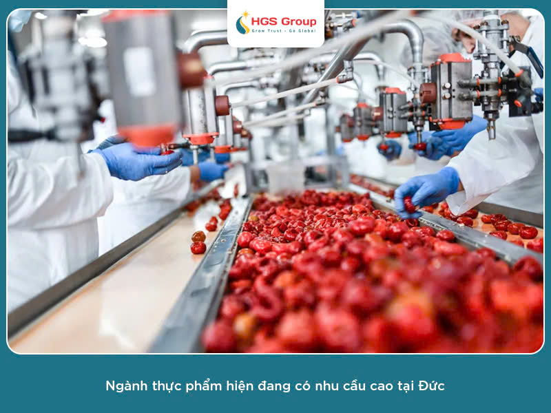 Không học đúng ngành có làm ngành thực phẩm tại Đức được không?