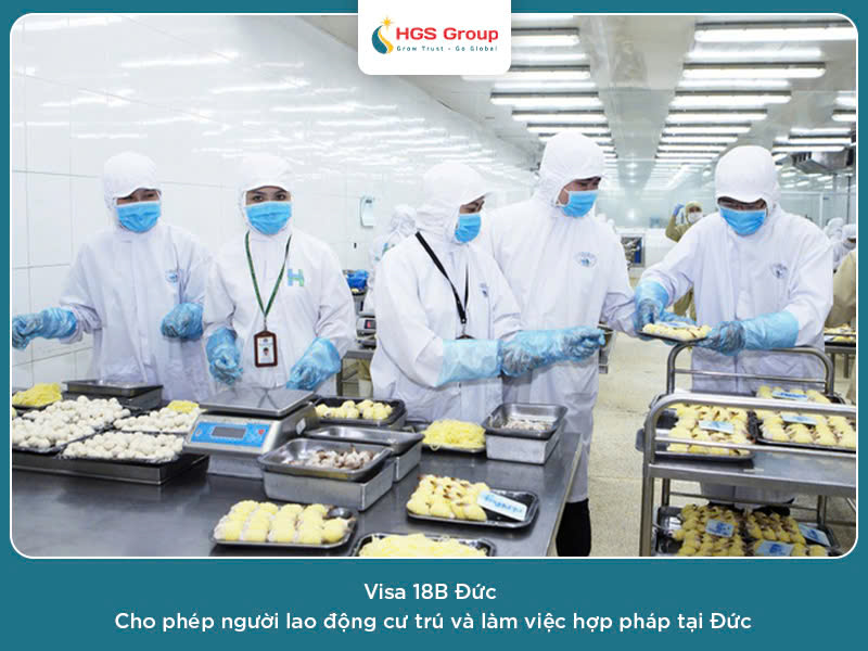 Visa 18B Đức