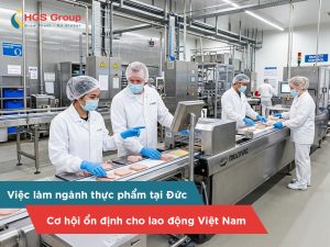 Việc làm ngành công nghiệp thực phẩm tại Đức - Cơ hội ổn định cho lao động Việt Nam
